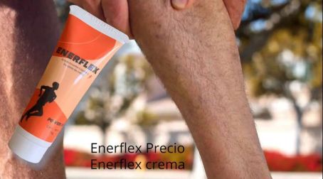 Enerflex Argentina Precios
